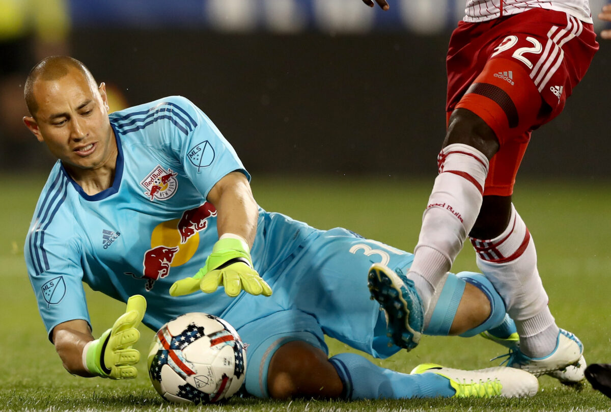 luis robles red bulls